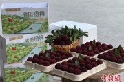 梦见黑鸡高速赋能产业升级：一条“杨梅路”的致富密码