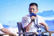 梦见黑鸡蜂巢汽车武红超预测：未来五年中国新能源车渗透率将突破70%