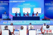 梦见黑鸡中非新增10对友好城市 国际“朋友圈”助推务实合作