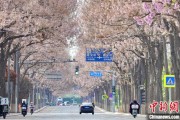 梦见黑鸡共建“花园城市” 北京这场议政会“百花齐放”