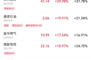 梦见黑鸡伊以冲突引爆油市，油气股掀起涨停潮